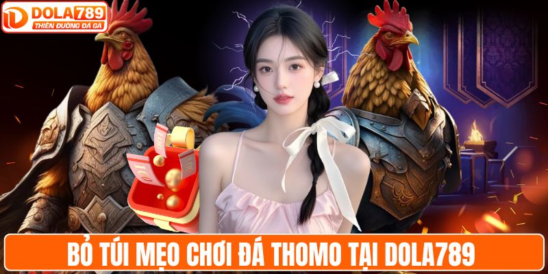 Bỏ túi mẹo chơi đá Thomo tại DOLA789 
