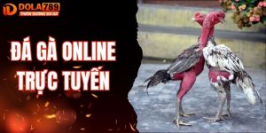 đá gà online trực tuyến