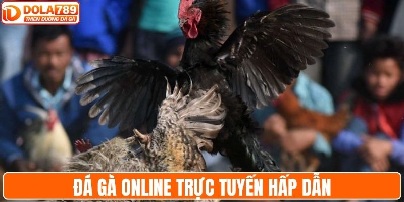 Đá gà online trực tuyến - Những trận đấu hấp dẫn 