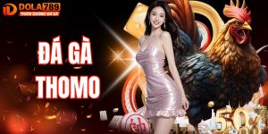Đá Gà Thomo – Trải Nghiệm Livestream Kịch Tính Tại DOLA789