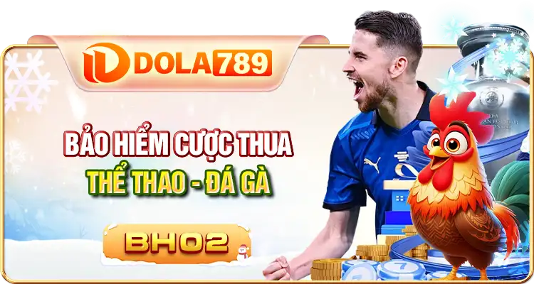 bảo hiểm đá gà thể thao